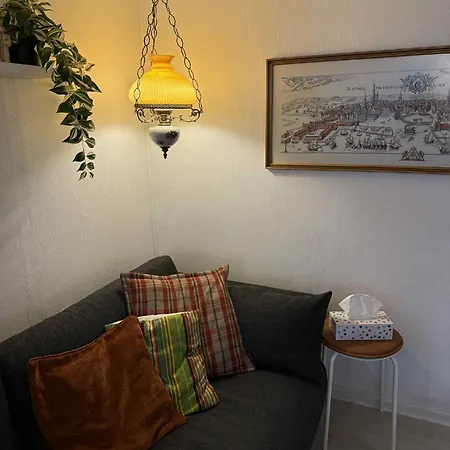 Swedish Inspired W Lovely Forrest As Neighbor 別荘 Jægerspris